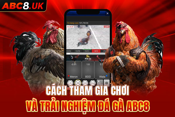 Hướng dẫn tham gia chơi đá gà nhanh trên ABC8